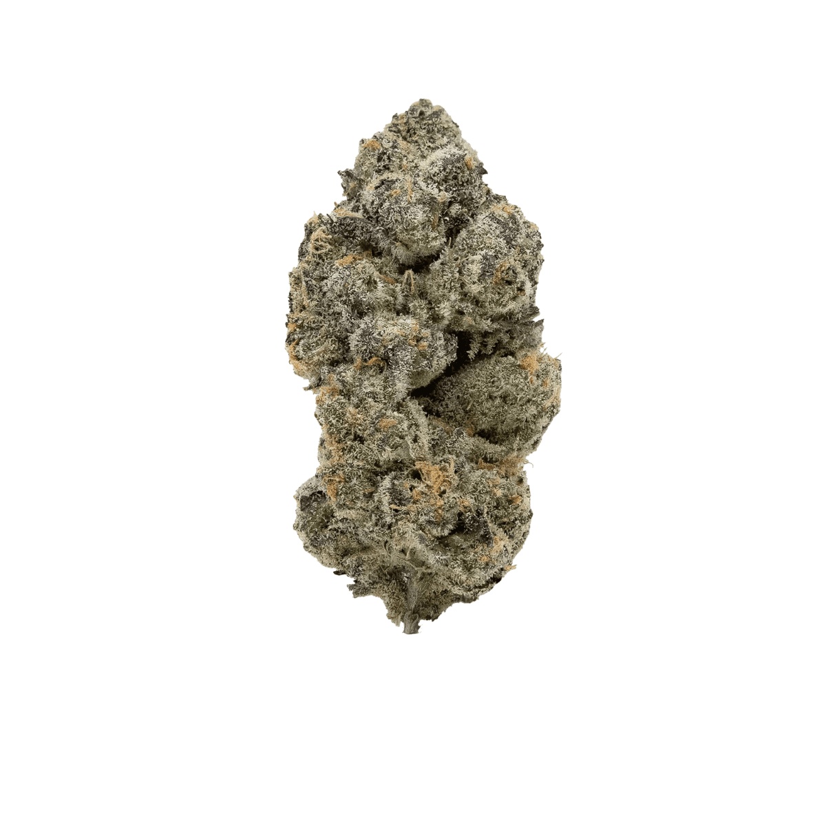 slouu 22/1 BAG CA - Berry Artic Gelato