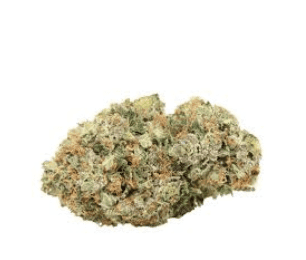 Cantourage Pink D1 30/1