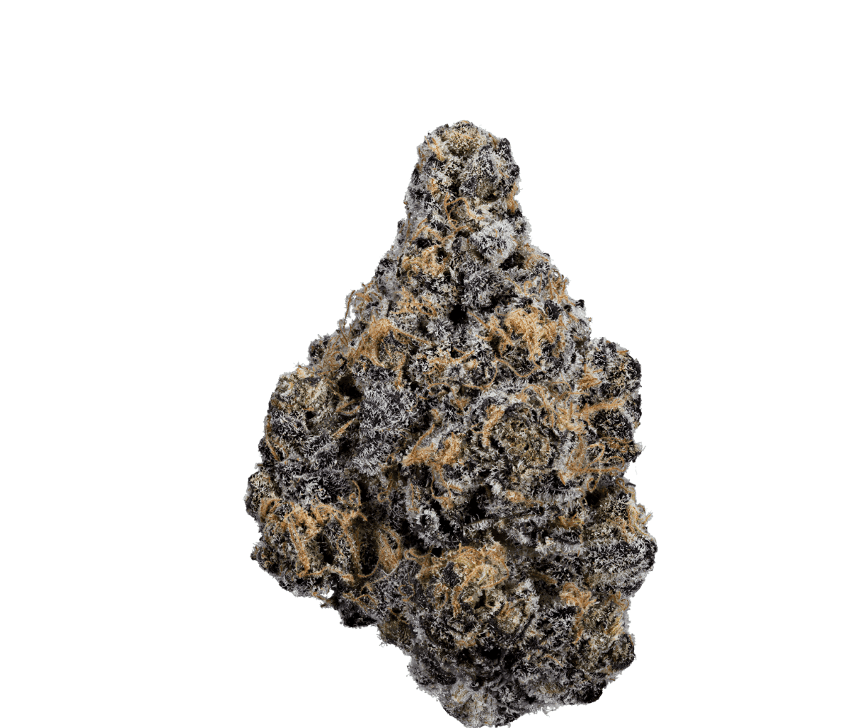 Enua 22/1 JLSY CA - Jealousy Enua 22/1 JLSY CA - Jealousy