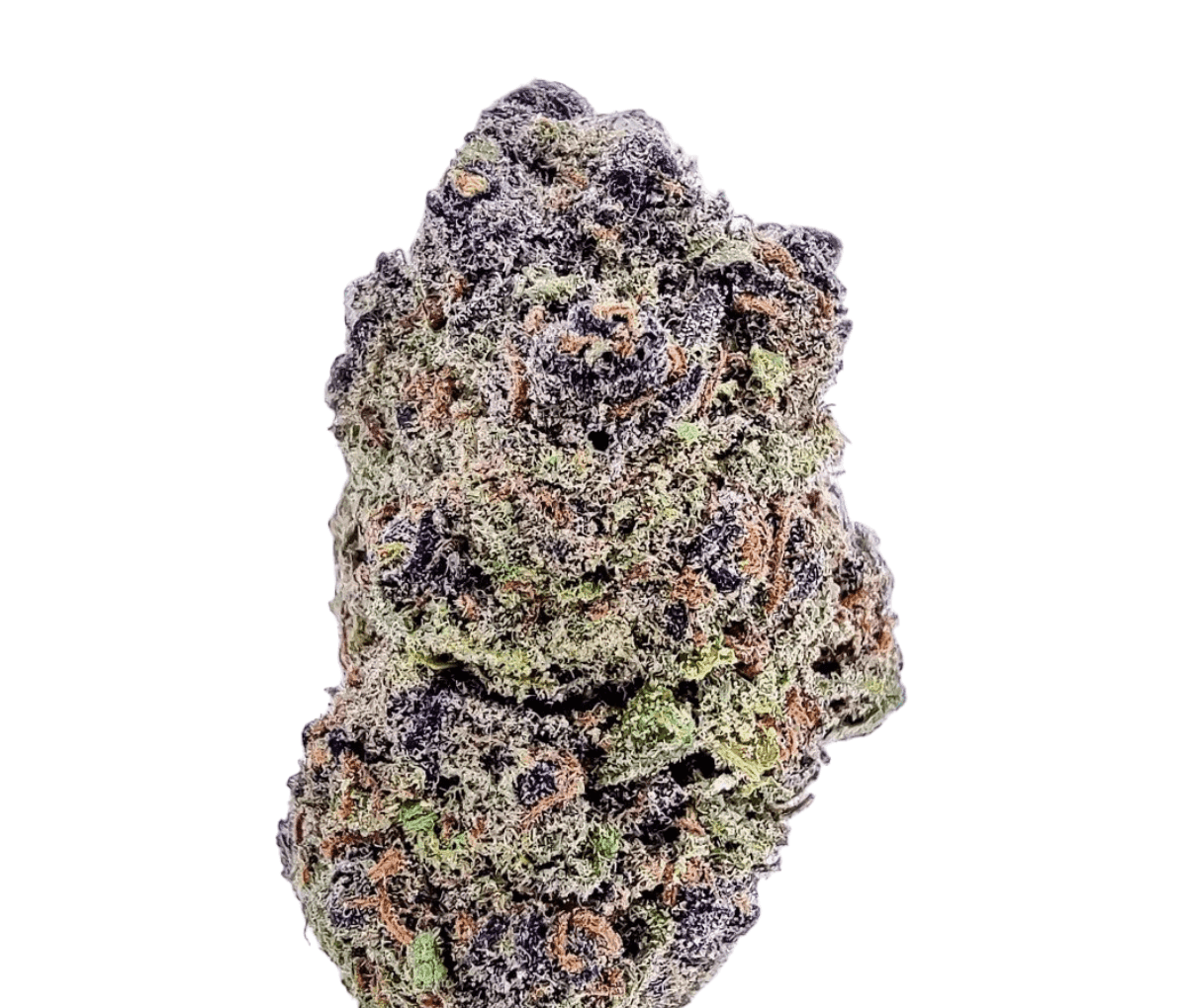 Phcann Exotics 30/1 Black Amber