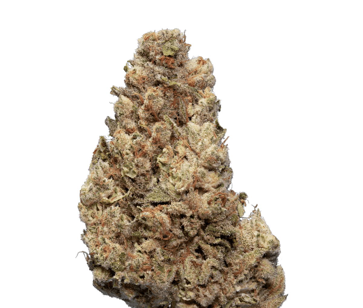 enua 25/1 CCK CA Cold Creek Kush enua 25/1 CCK CA Cold Creek Kush