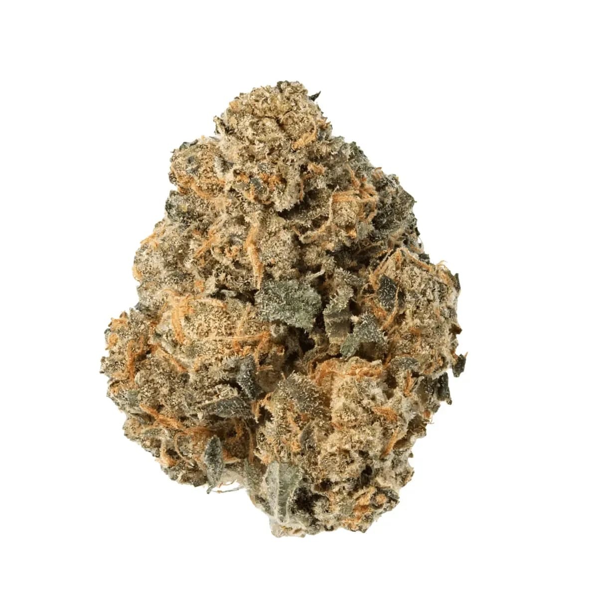 Medical Saints 24/1 ACB Acai Berry