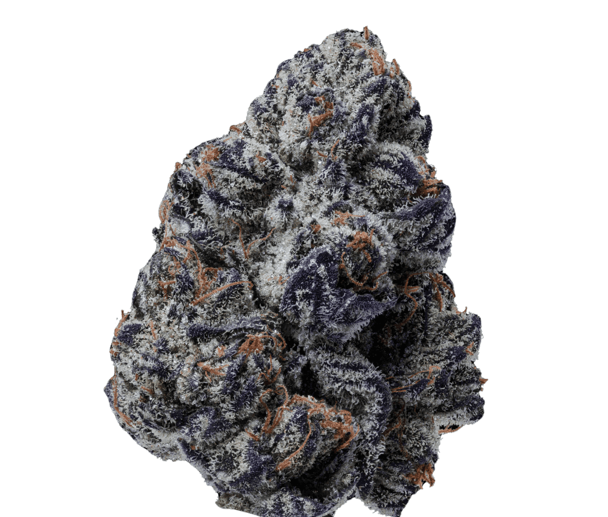 28/1 IUVO Killer Cupcake 28/1 IUVO Killer Cupcake