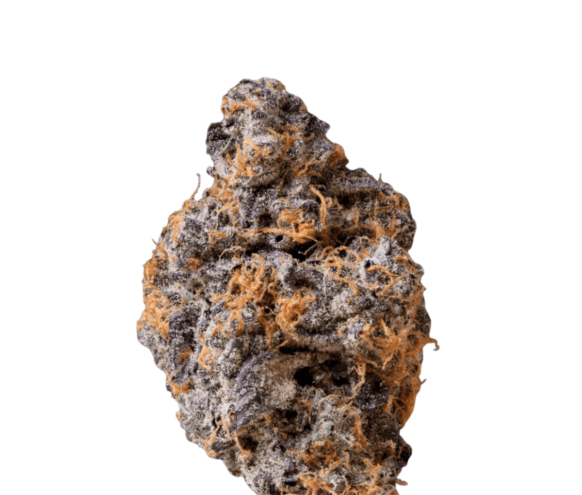 THC AKUT FB 25 GP - Gary Payton THC AKUT FB 25 GP - Gary Payton