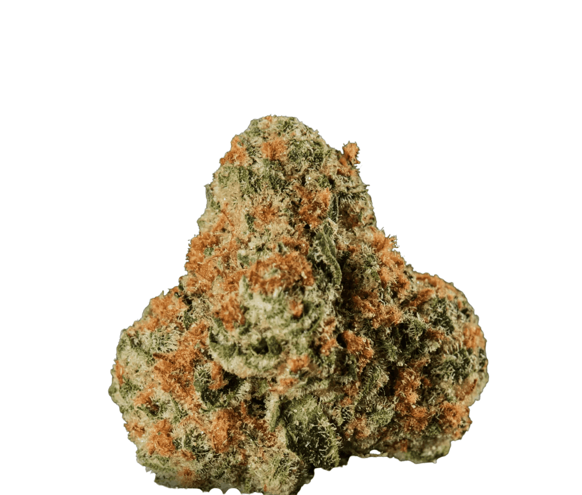 Huala 25/1 UK WTR - Waffle Truffle