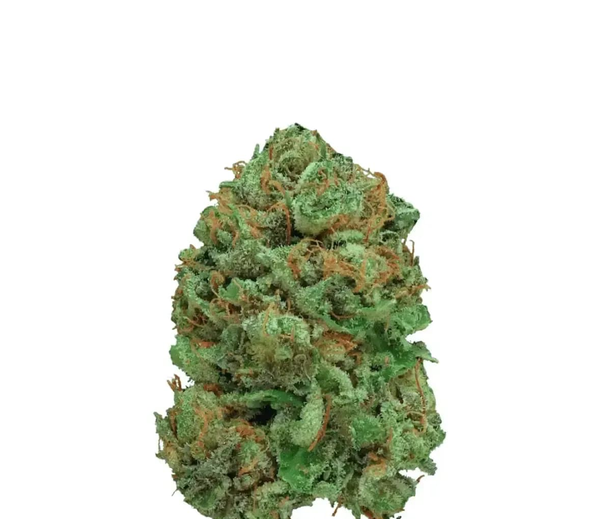 Luana Electric 24/1 - Bashengo