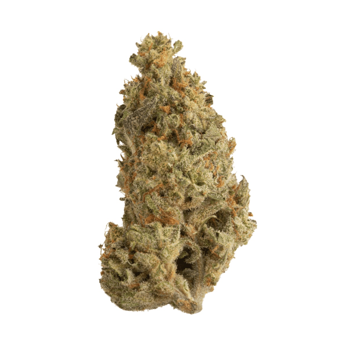 Drapalin 21/1 Kaas - UK Original Cheese x Chemdawg