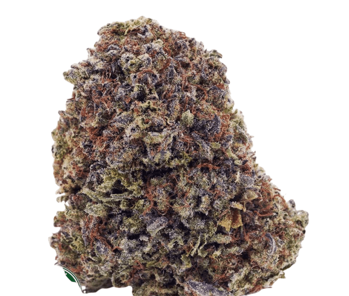 420 Evolution 30/1 CA FFC - Frosted Fruit Cake