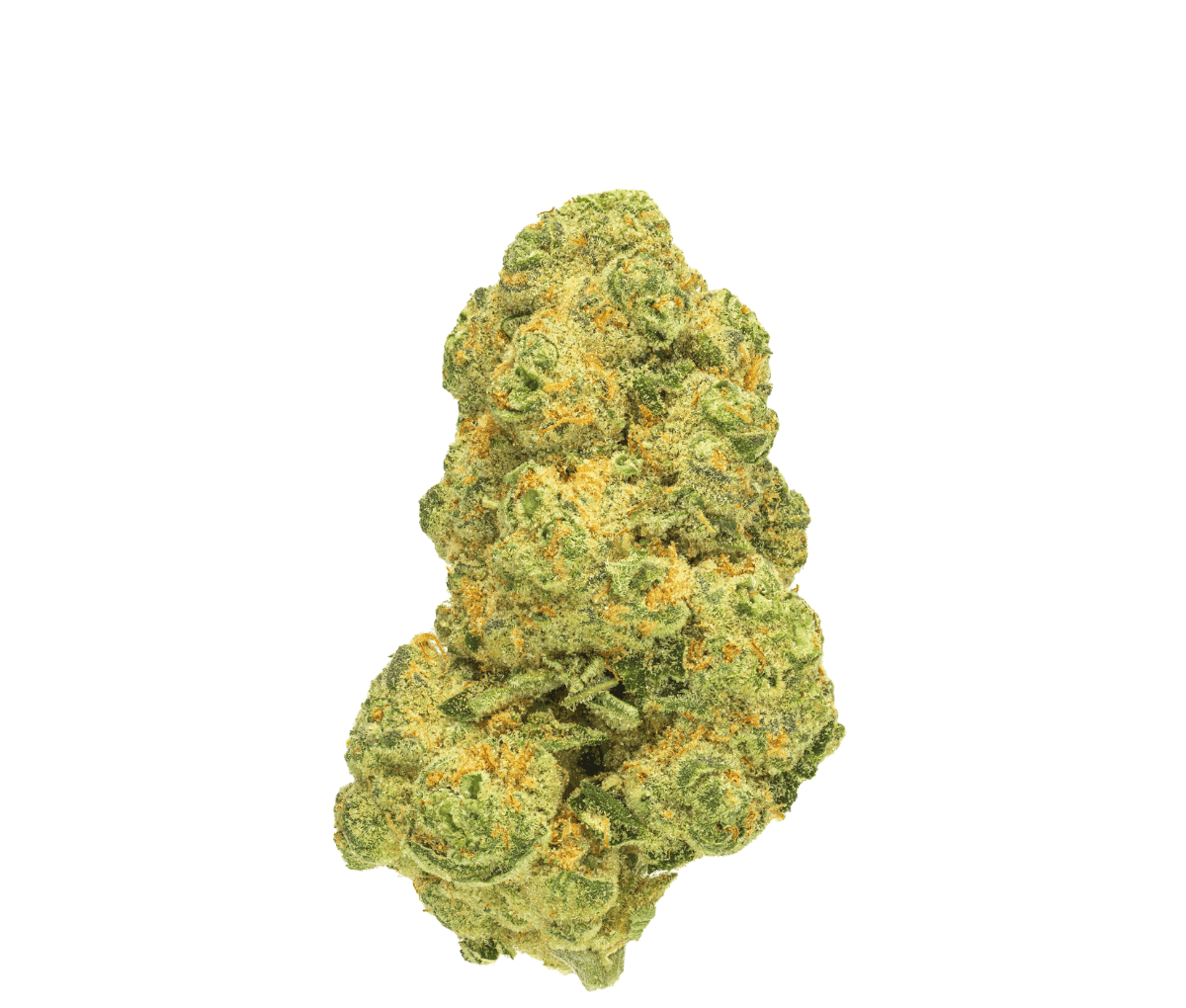 Pedanios 31/1 COS-CA - Cosmic Cream