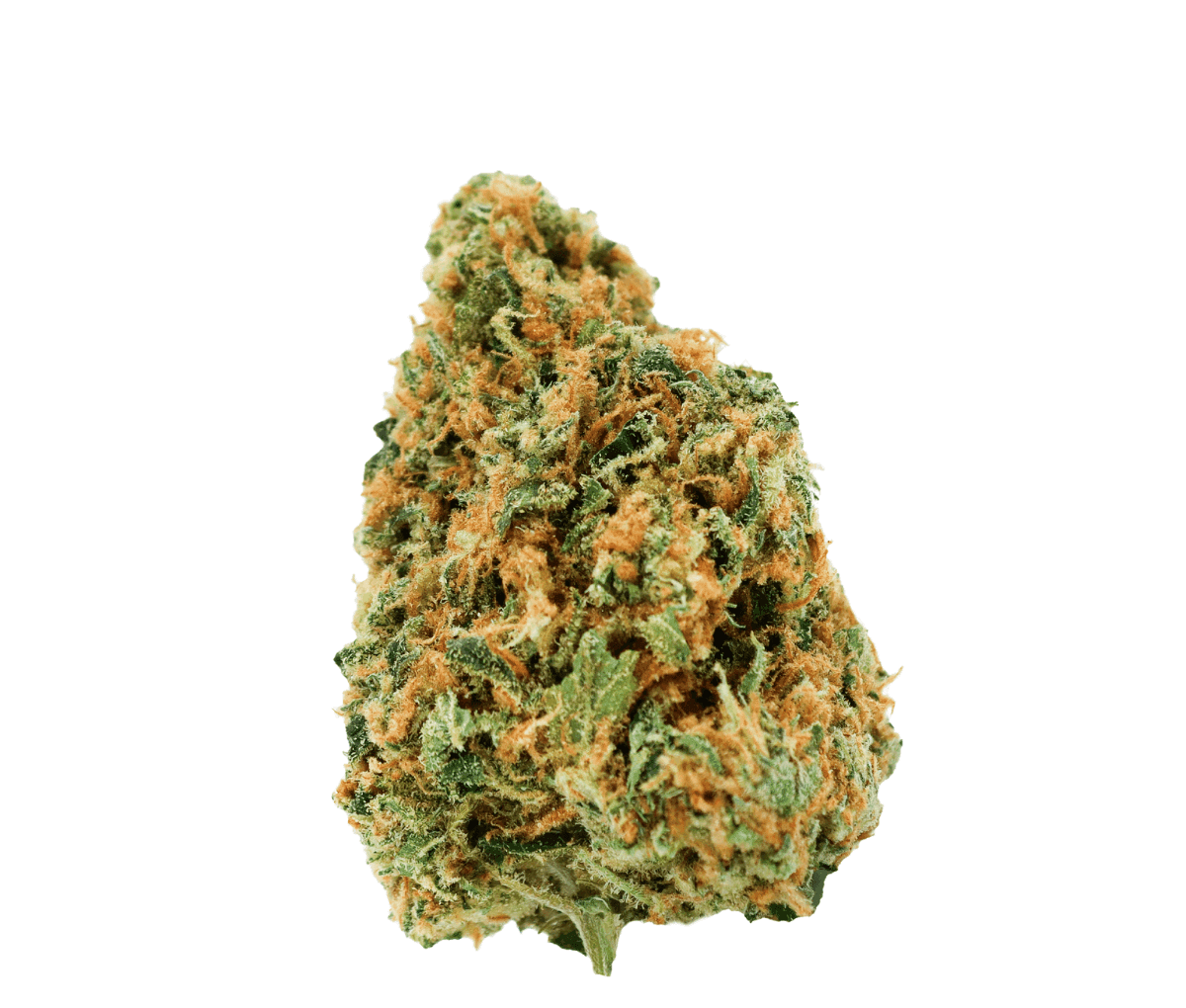 avaay 28/1 CK Critical Kush