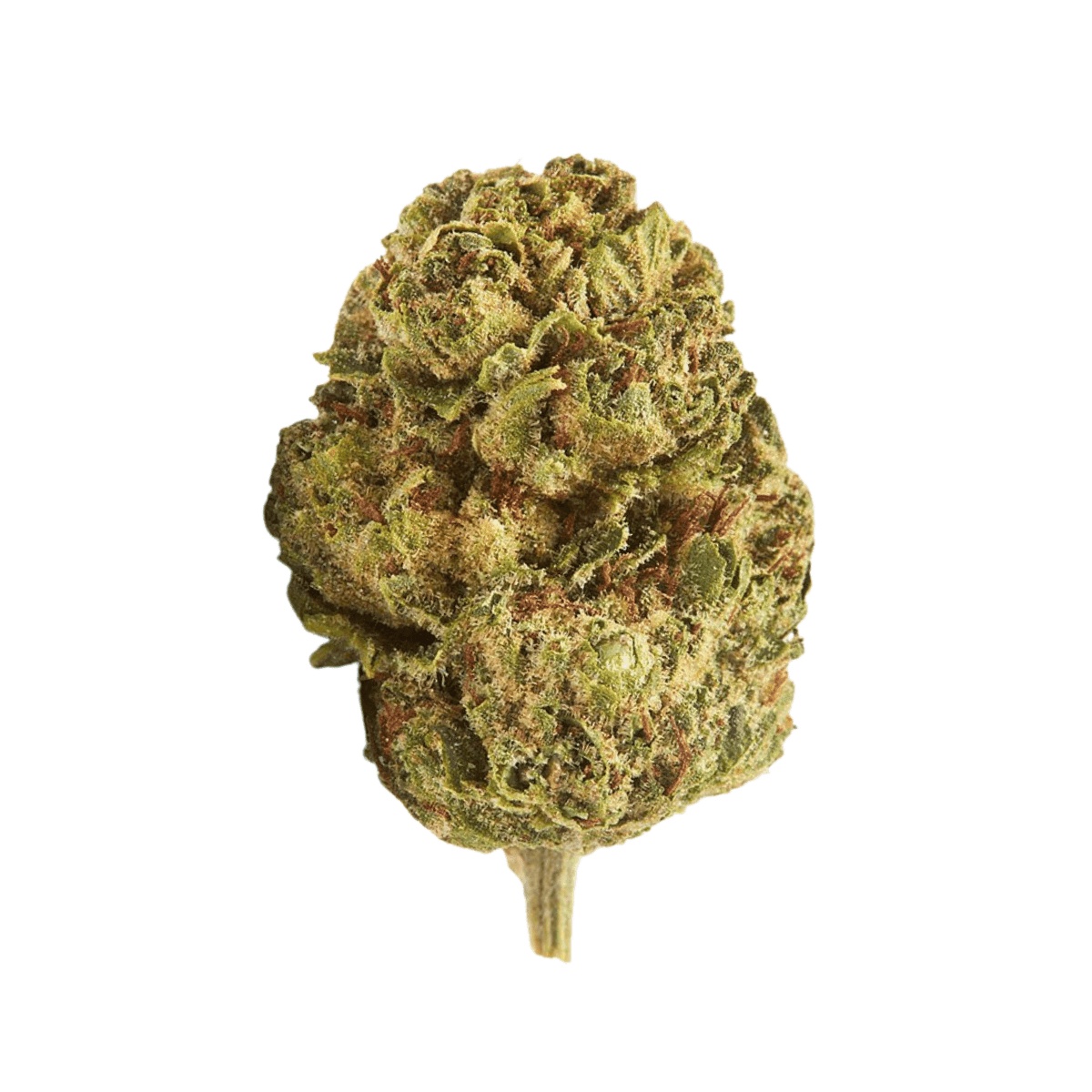 IMC Cannabisblüten RO THC 25 - Roma IMC Cannabisblüten RO THC 25 - Roma