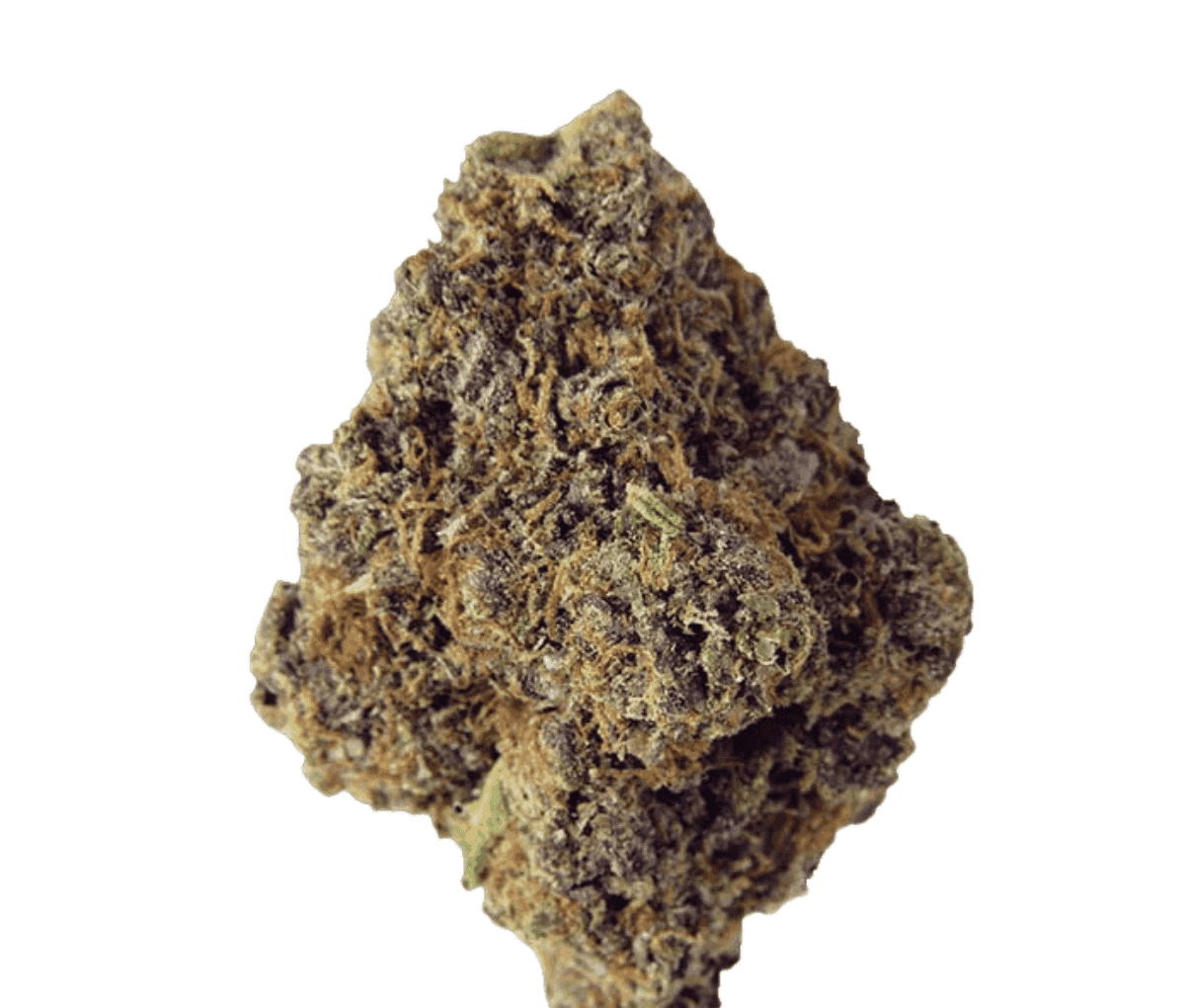 Rua Hihiko 30/1 - Grape Haze