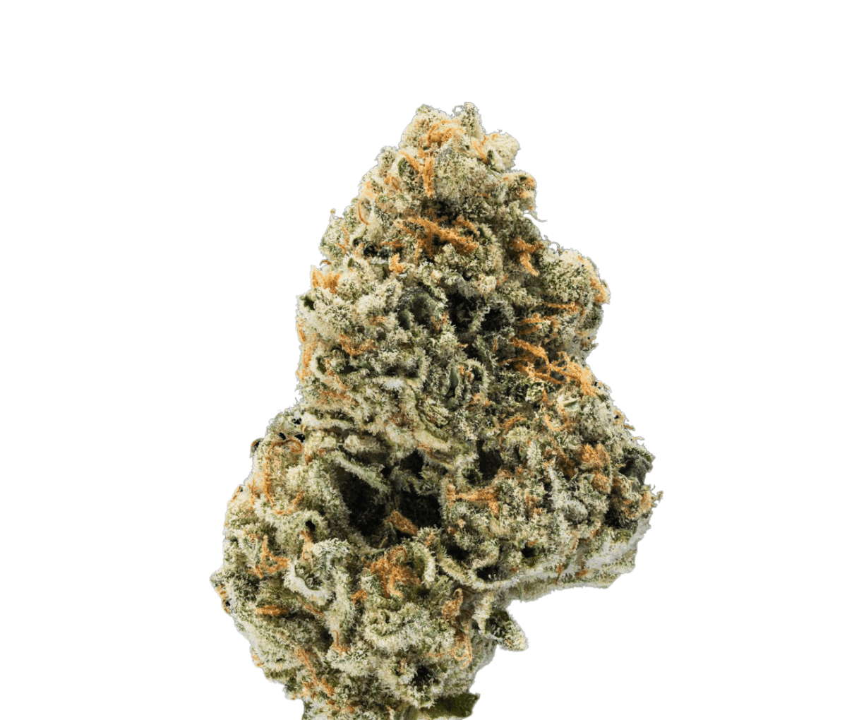 Enua 25/1 MB CA - Mega Breath