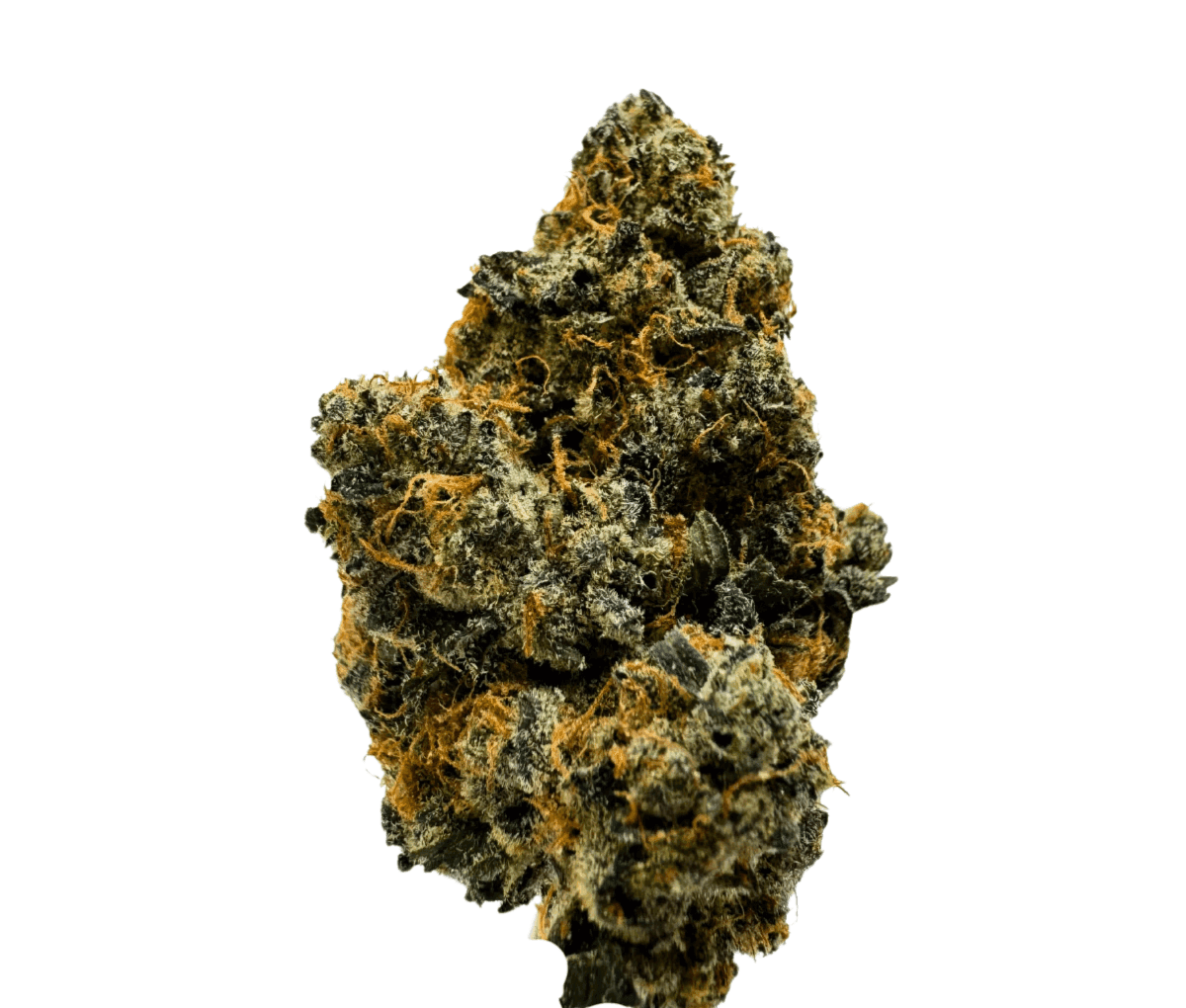 J.R. Strain 27/1 Sudz