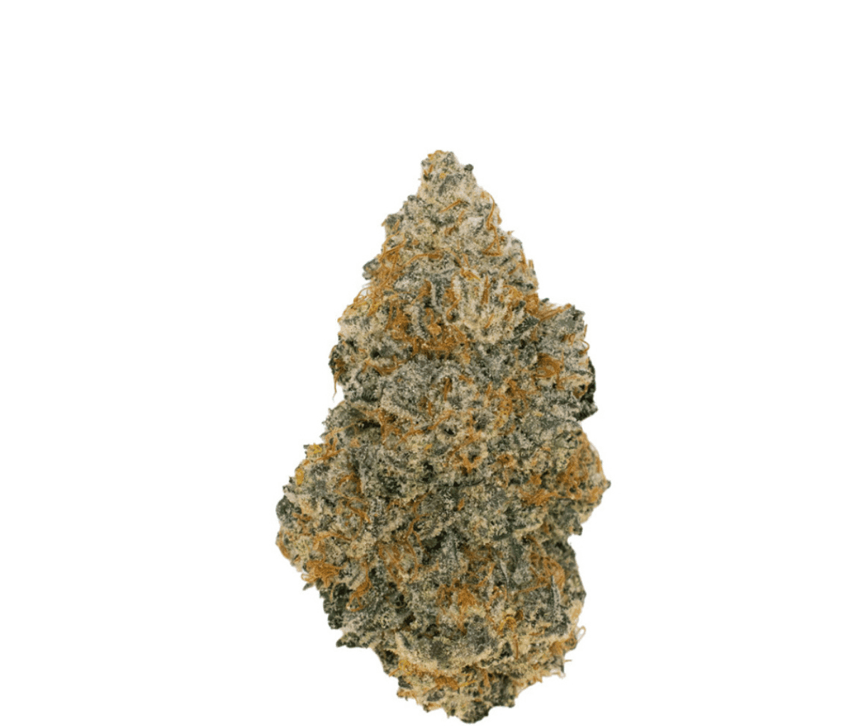 Canify Cannabis flos 30/1 POR Ku. - Chapel of Love