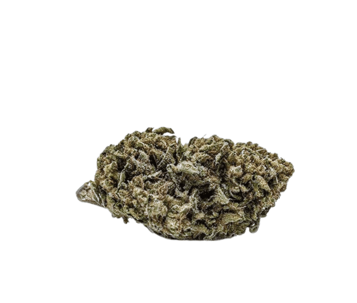 Tweed Balanced 6/8 - Caramel