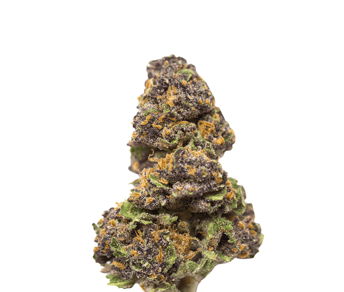 Remexian 33/1 CRN SDS Stardust Swirl