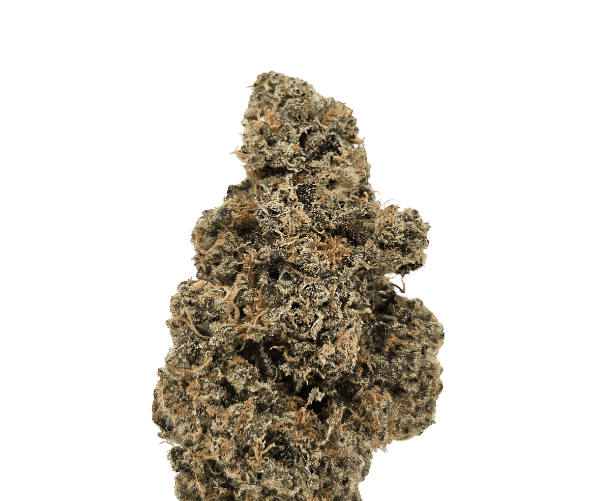 Drapalin 29/1 Cape Canaveral - Girl Scout Cookies x Mandarin Sunset