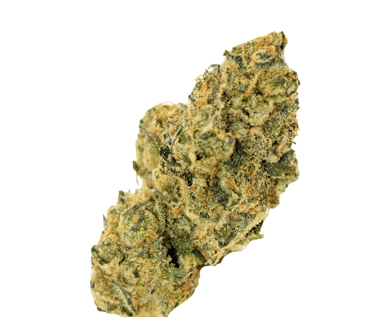 All Nations FG 25/1 - Frosted Gelato