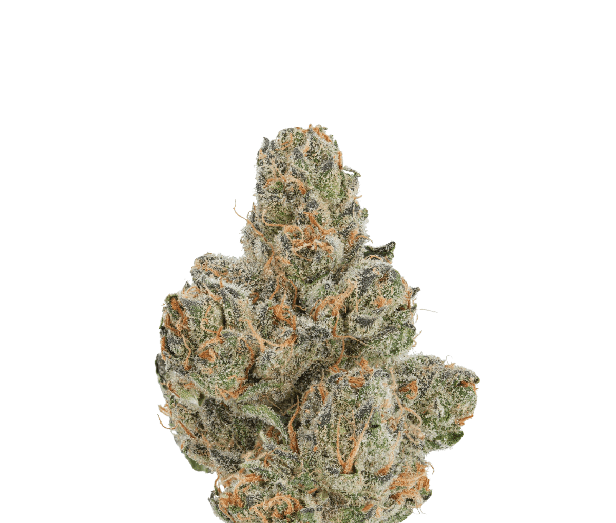 ZOIKS 22/1 - Ben & Berries