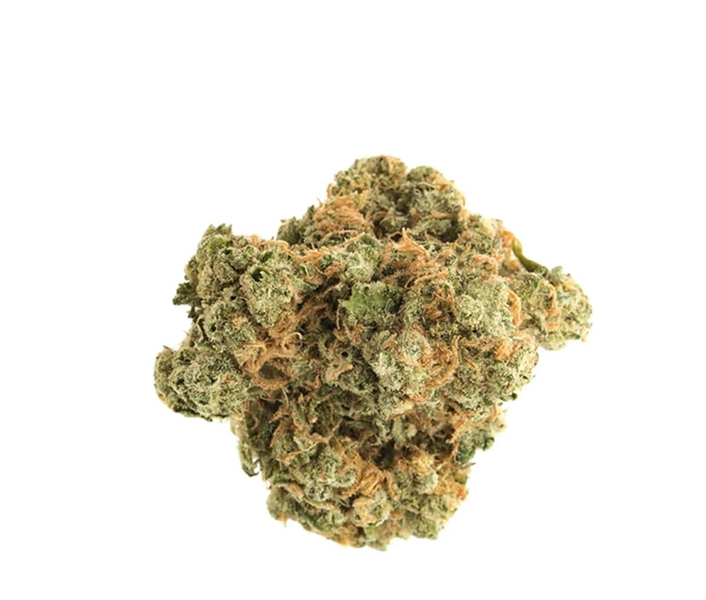 Aurora Typ 1 - Island Sweet Skunk