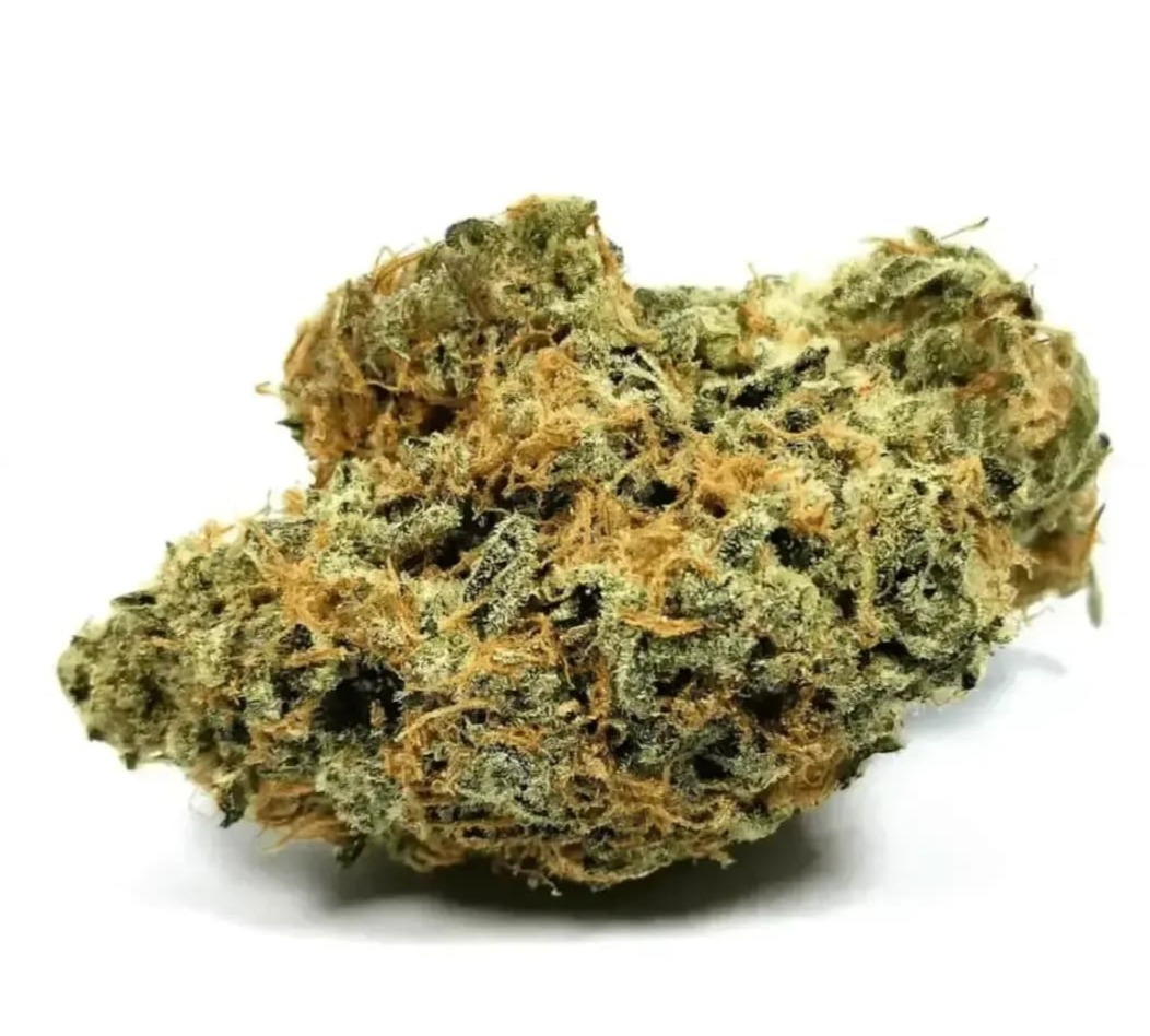 Nimbus Easy 30/1 - La Sage