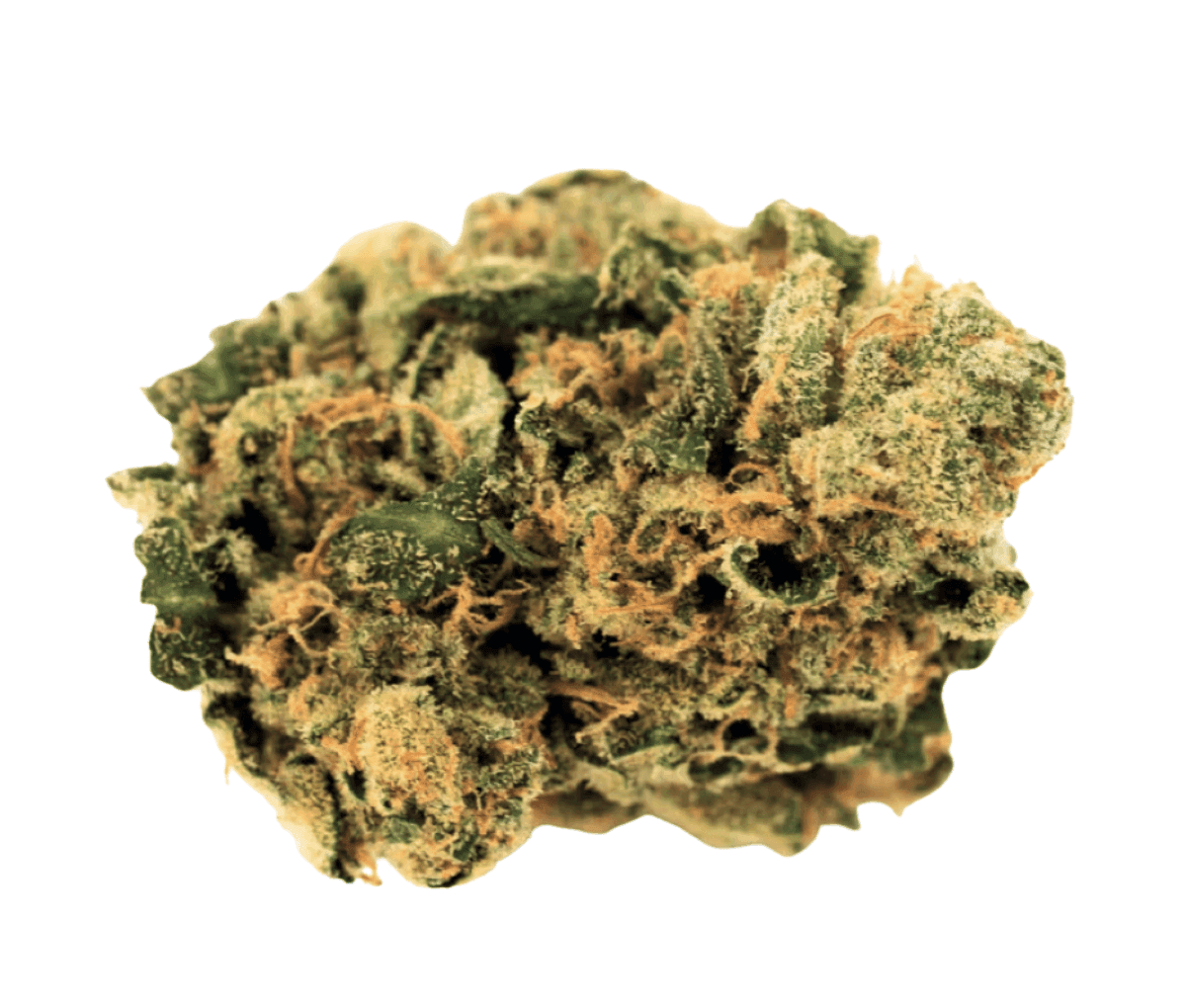 Cannamedical Indica Classic DK 20/1 - Cookies Kerosene Punch Cannamedical Indica Classic DK 20/1 - Cookies Kerosene Punch