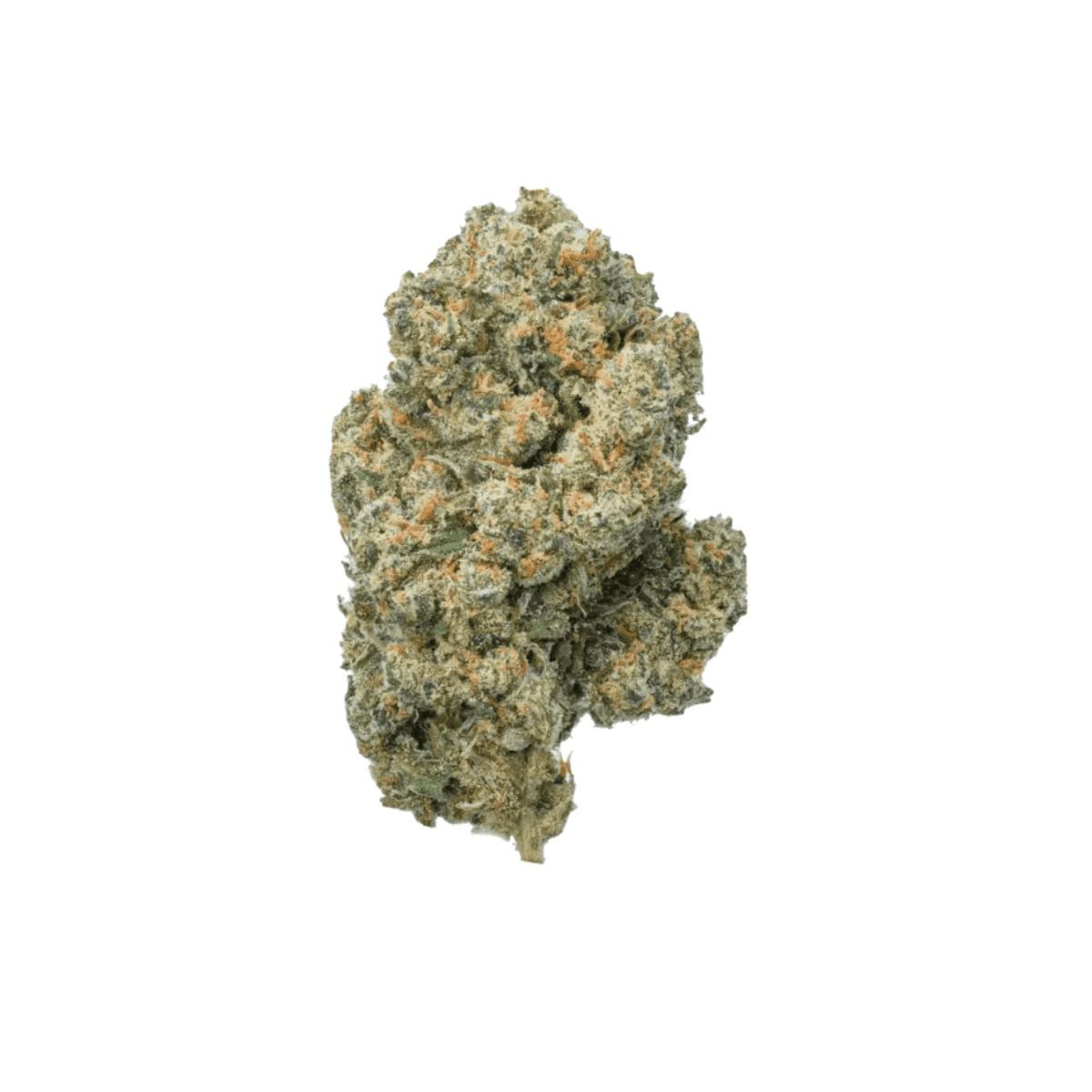 Balancial 22/1 PT S1 JH - Jack Herer Balancial 22/1 PT S1 JH - Jack Herer