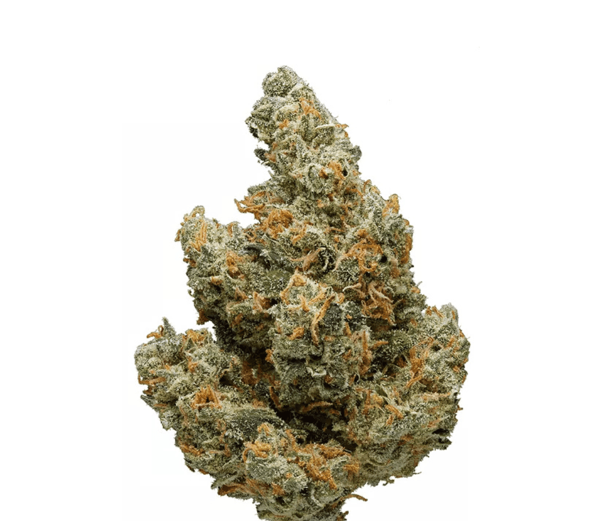 Patagonia 30/1 - Aconcagua+ Haze Breath