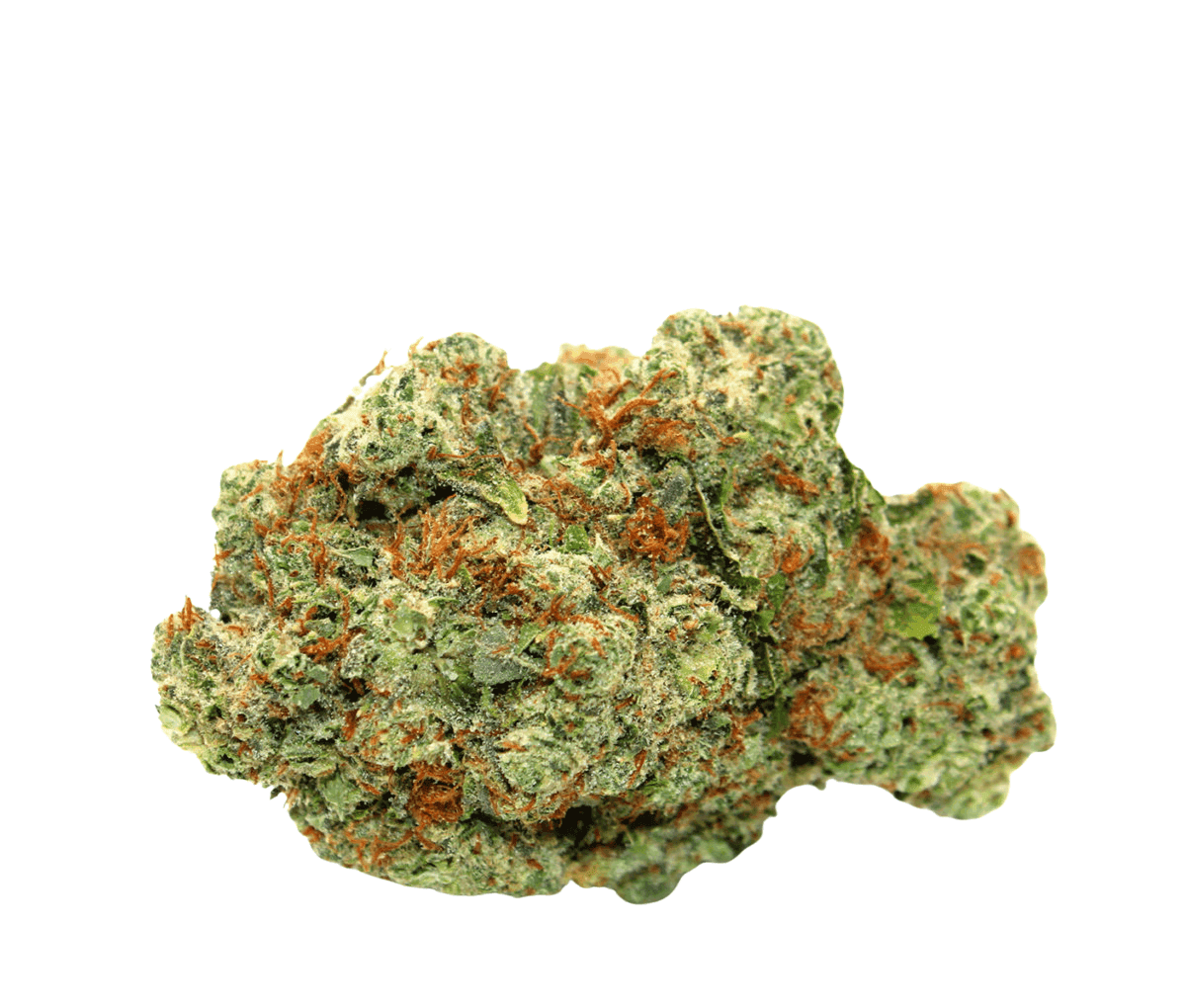  Canify 21/1 PRT Ku. Black Cherry Pie