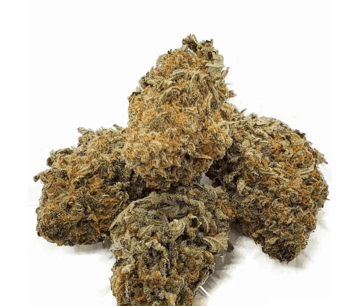 IMC THC22 T02 - OG Kush IMC THC22 T02 - OG Kush