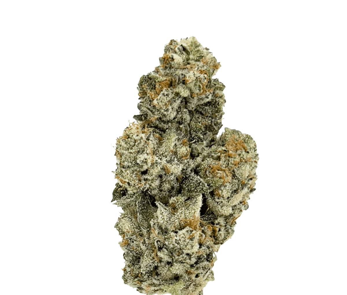 Green Karat CG - Cool Grapes