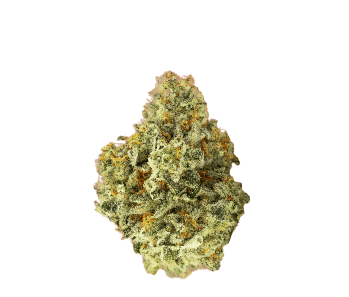 Huala 25/1 CA ALM - Alien Mints