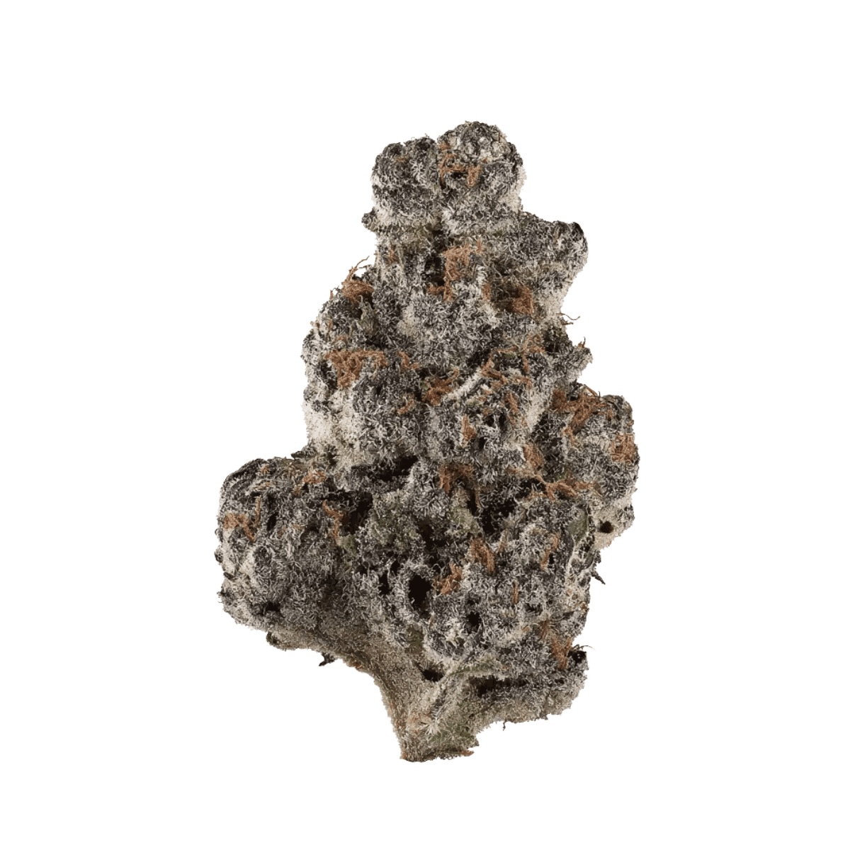 THC akut OHS 25 SF - Sherb Fritter THC akut OHS 25 SF - Sherb Fritter