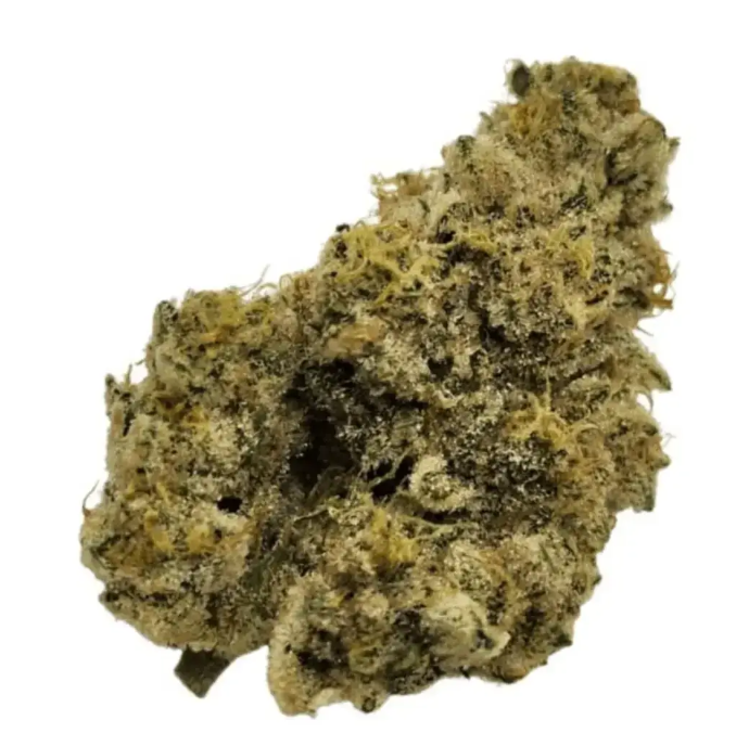  Nimbus Easy 30/1 - French Cookies