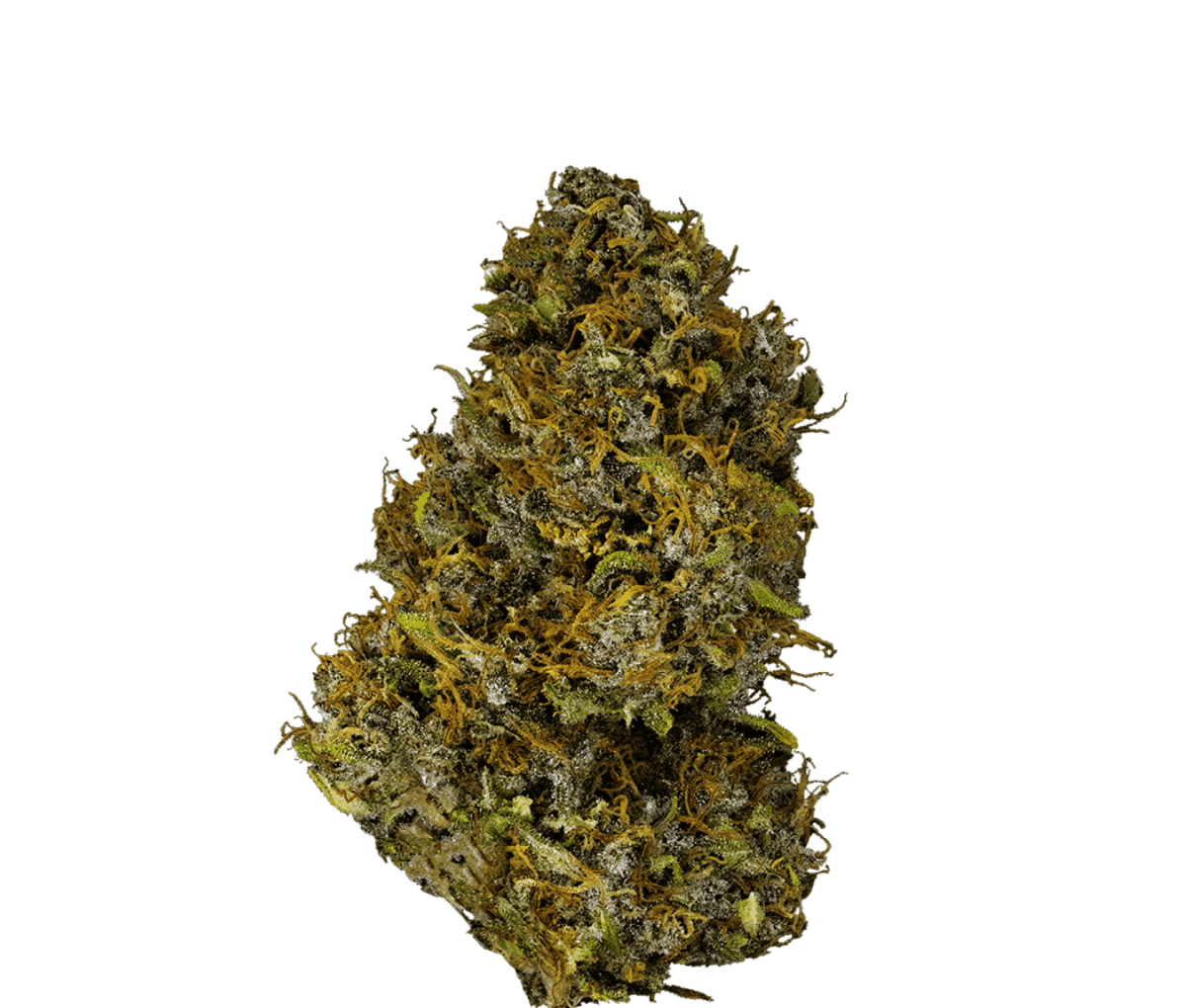 Canopy JH 19/1 - Jack Haze