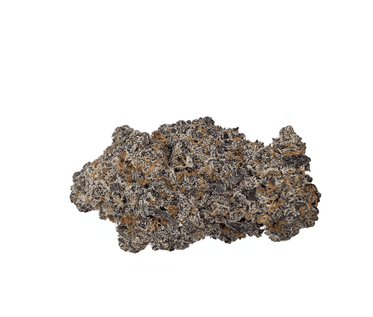 Canopy TCK 27 - Tiger Cake