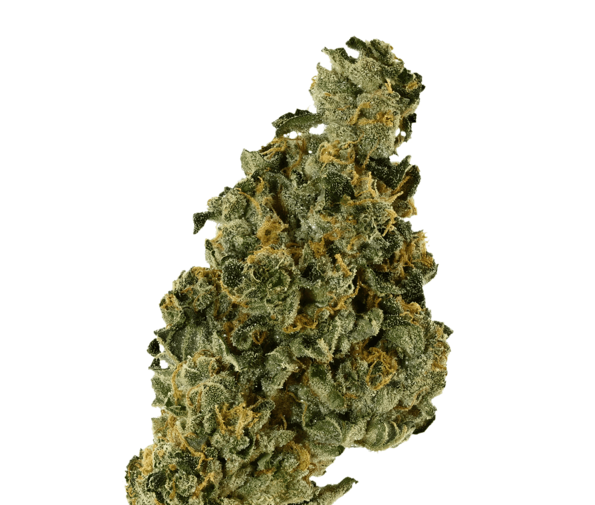 Demecan Core Saxonia 28:01 - Wedding Cake x Jet Fuel Gelato Demecan Core Saxonia 28:01 - Wedding Cake x Jet Fuel Gelato