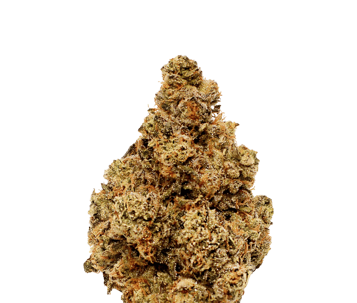 LOT 420 GLOC - Gelato x Orange Cake LOT 420 GLOC - Gelato x Orange Cake