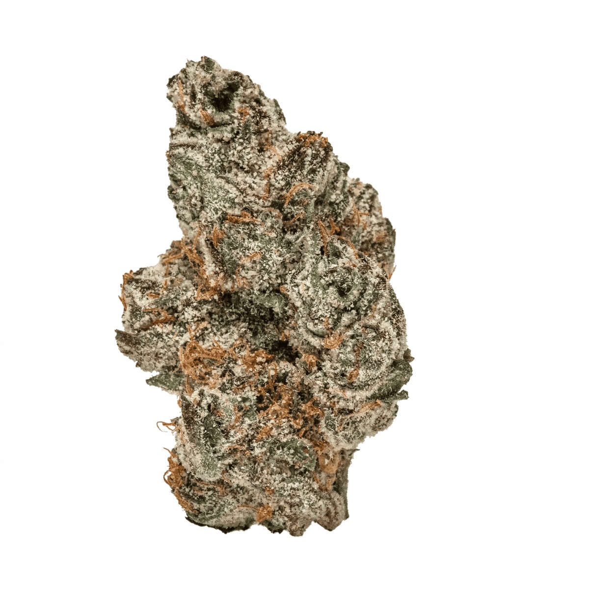 Canify Cannabis 22/1 CZE Acai Berry Canify Cannabis 22/1 CZE Acai Berry