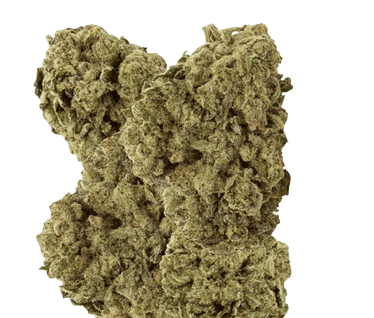 enua 25/1 TTA CA - Titanimal