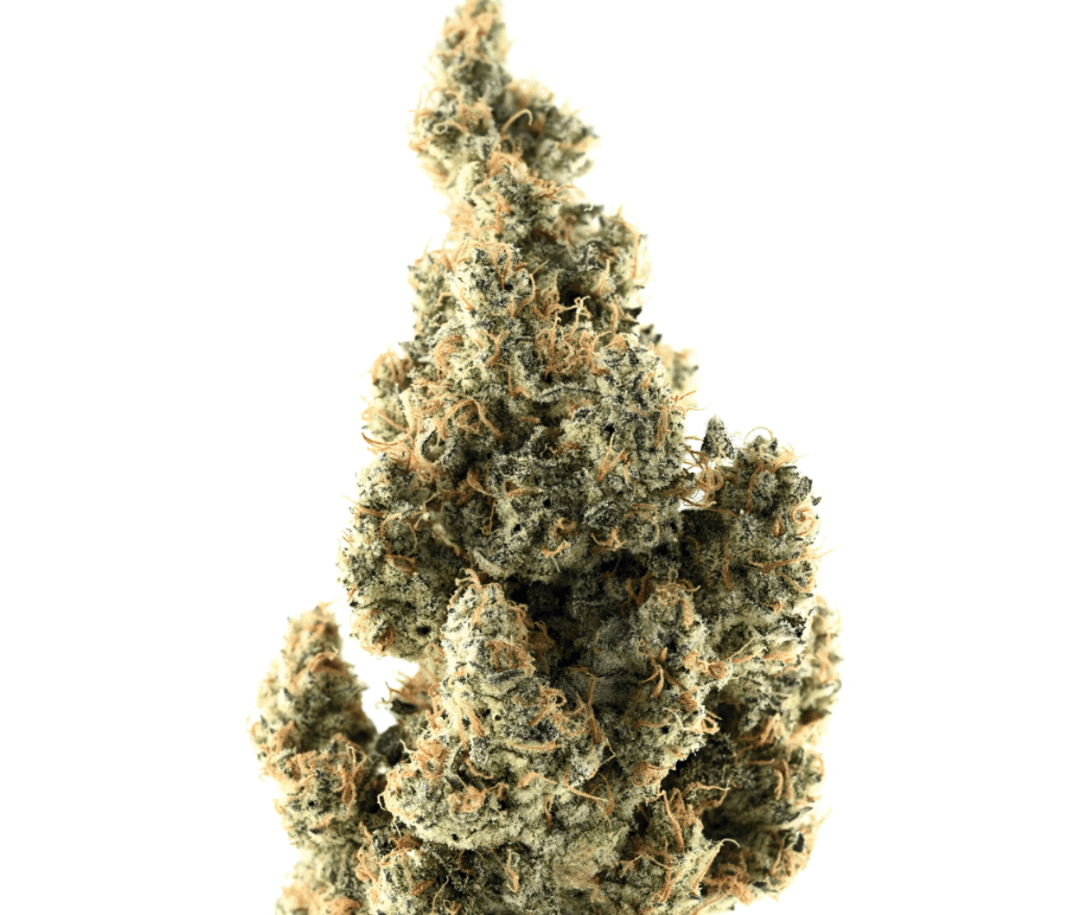 Demecan PG Epic Drop 30/1 - Gas Face