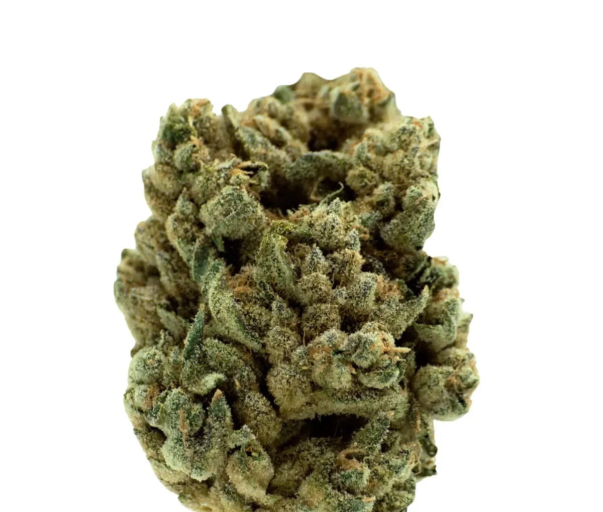 Remexian 33/1 MTL JUC - Jungl's Cake