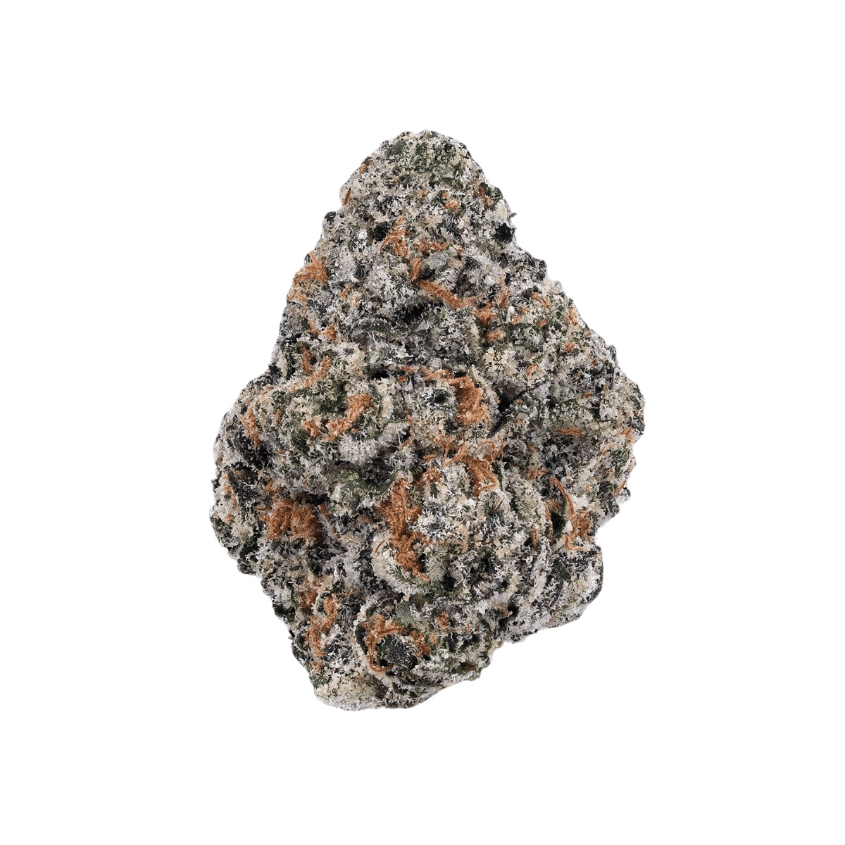 IMC Token GC THC23 - Gorilla's Chocolate