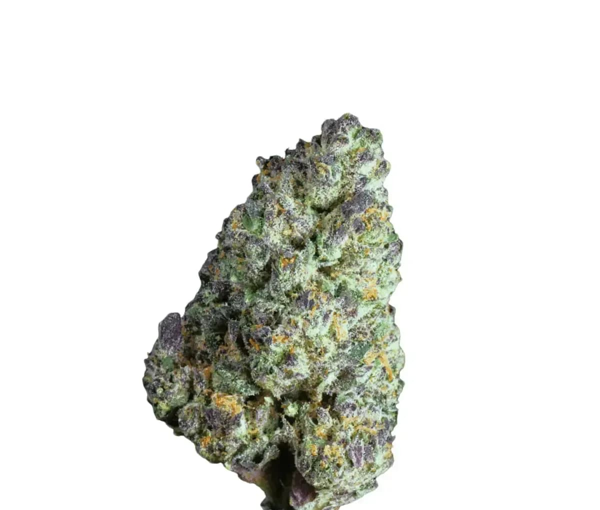 Canify Cannabis Flos 23/1 CSF Ku. - Carnez Citric