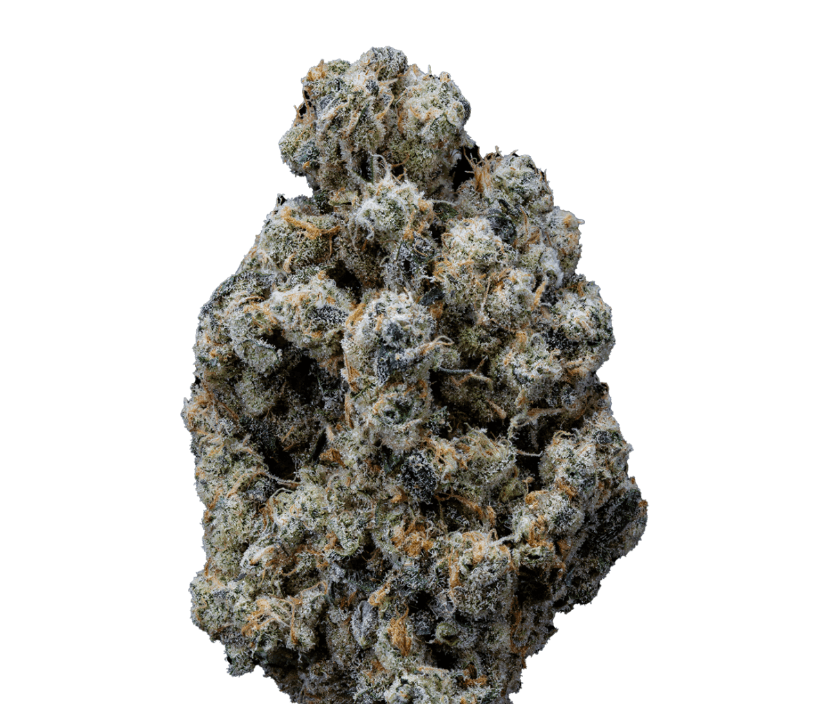 Organic Sweetgrass CB 25/1 - Crunch Berries