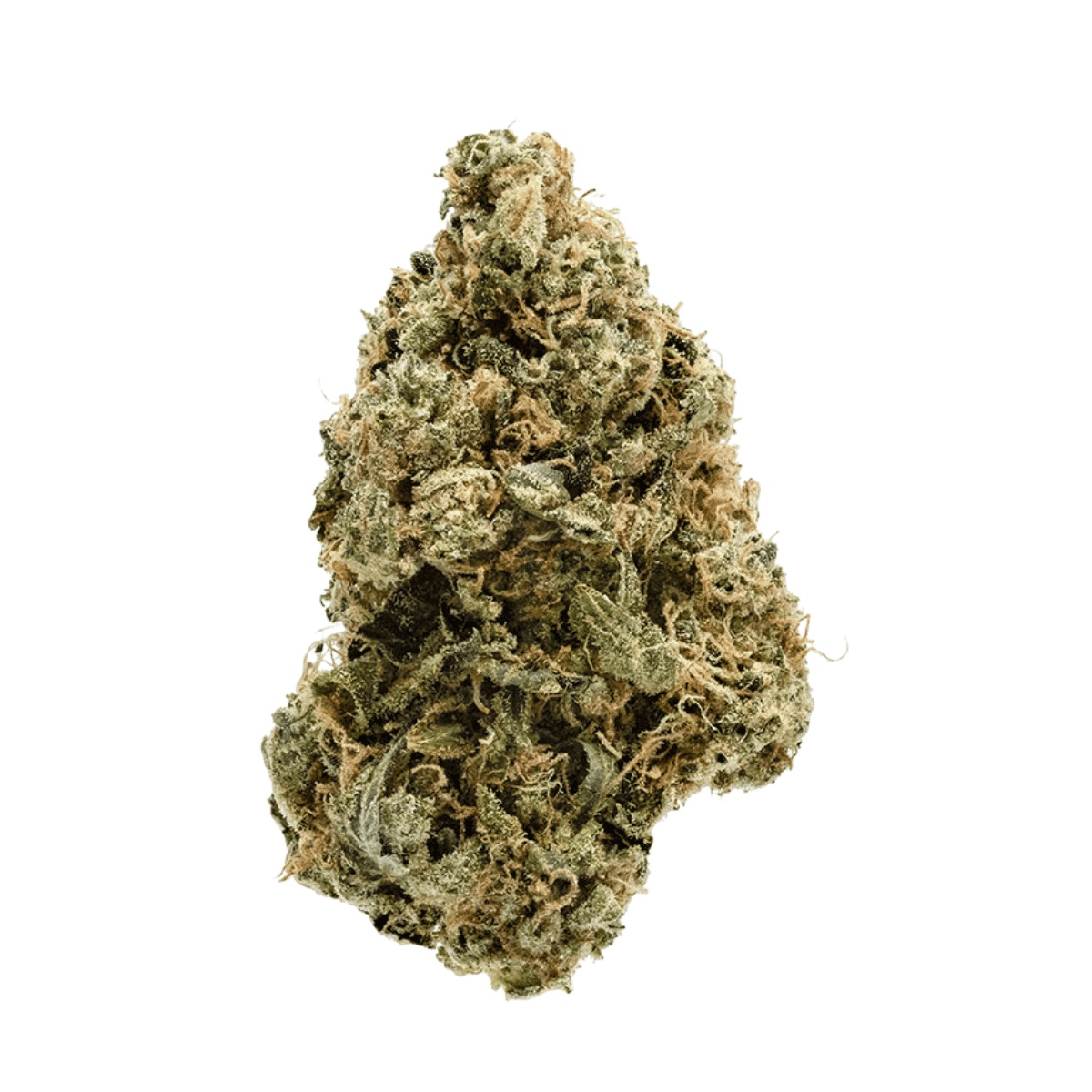 Zoiks 22/1 SLD Sun Lemon Diesel