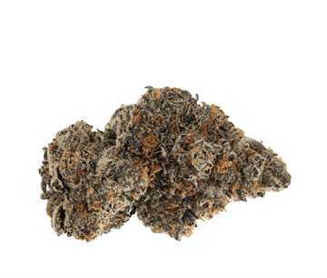 Roxton Air FC 25/1 - Frosted Cookies