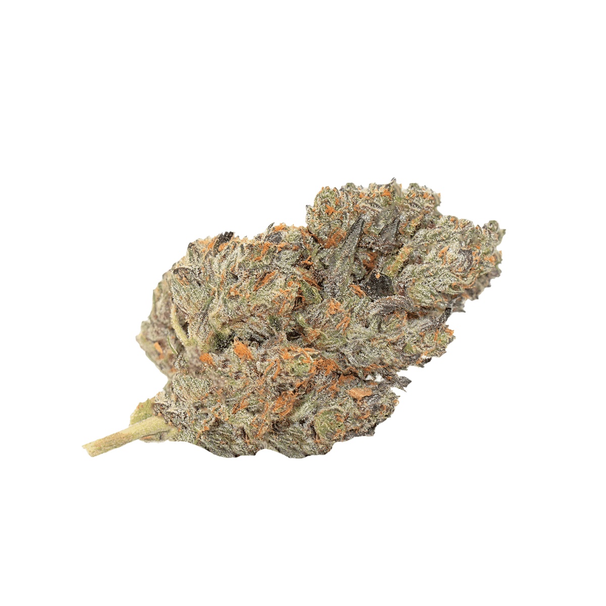 Eufloria 30/1 CLG - Cool Grapes