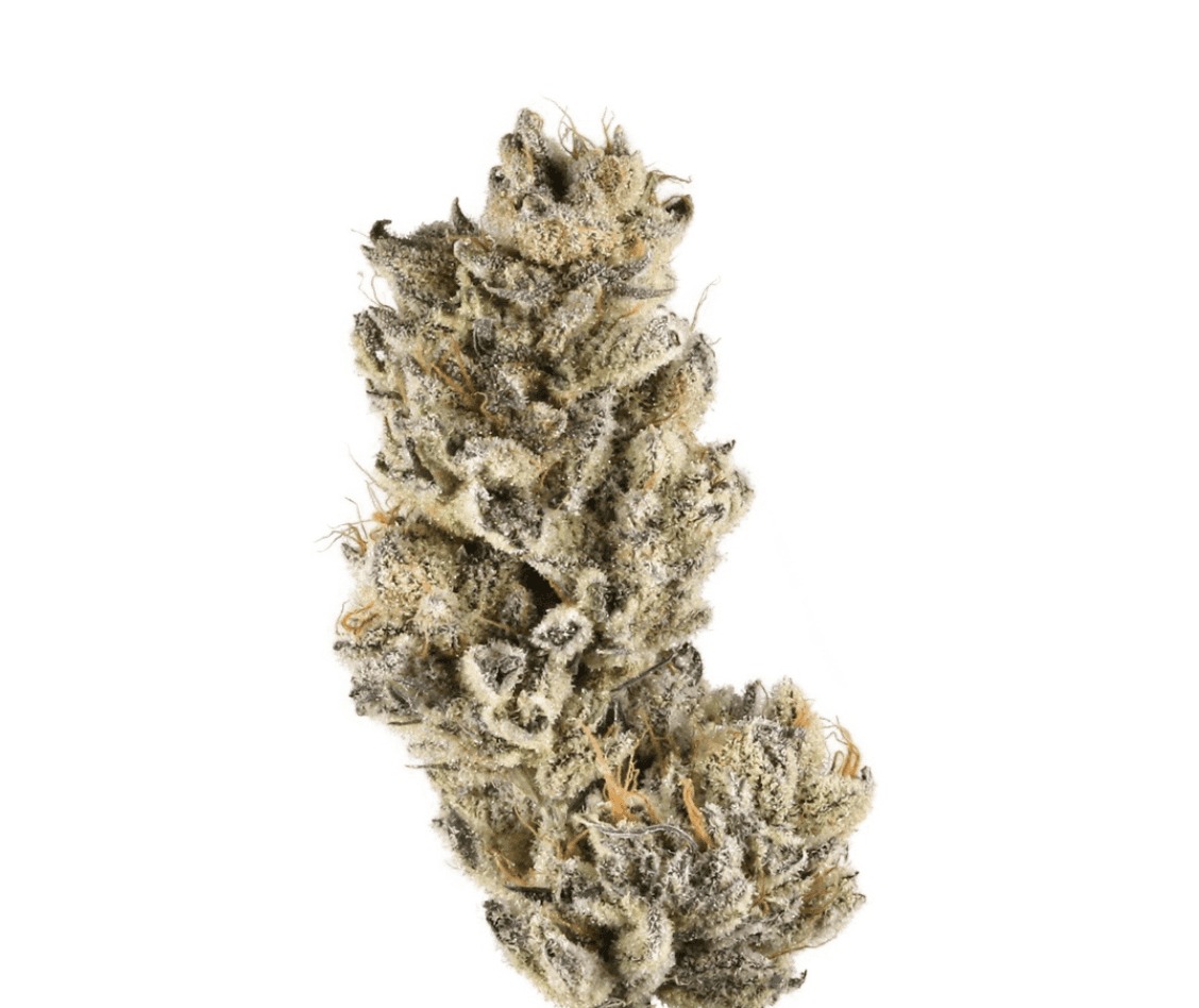 187 Cannabisflower FPB THC25 - Forbidden Punch 187 Cannabisflower FPB THC25 - Forbidden Punch